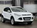Ford Kuga Titanium Sitzheizung Einparkhilfe Leder AHK Blanc - thumbnail 9