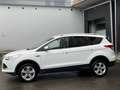 Ford Kuga Titanium Sitzheizung Einparkhilfe Leder AHK Blanc - thumbnail 3