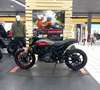 Indian FTR 1200 Grau - thumbnail 3