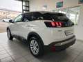 Peugeot 3008 1.6 BlueHdi 120cv Business Bianco - thumbnail 6