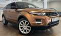 Land Rover Range Rover Evoque SD4 Black Dynamic/SPORT/VOLL Brun - thumbnail 18