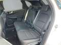 Ford Kuga Titanium X / PHEV / IACC / B&O / AHK Weiß - thumbnail 11