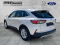 Ford Kuga Titanium X / PHEV / IACC / B&O / AHK Weiß - thumbnail 4