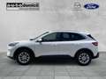 Ford Kuga Titanium X / PHEV / IACC / B&O / AHK Weiß - thumbnail 5