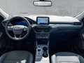 Ford Kuga Titanium X / PHEV / IACC / B&O / AHK Weiß - thumbnail 9