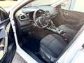 Renault Kadjar Business Edition 1.3 TCe Automatik/Kamera/Navi Bianco - thumbnail 11