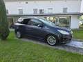 Ford C-Max C-Max7 1.6 TDCi 115CV Titanium Gris - thumbnail 19