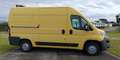 Fiat Ducato 35 (4ª serie) 2.3 MJT 130CV PM-TM Giallo - thumbnail 7