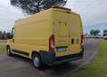 Fiat Ducato 35 (4ª serie) 2.3 MJT 130CV PM-TM Giallo - thumbnail 6