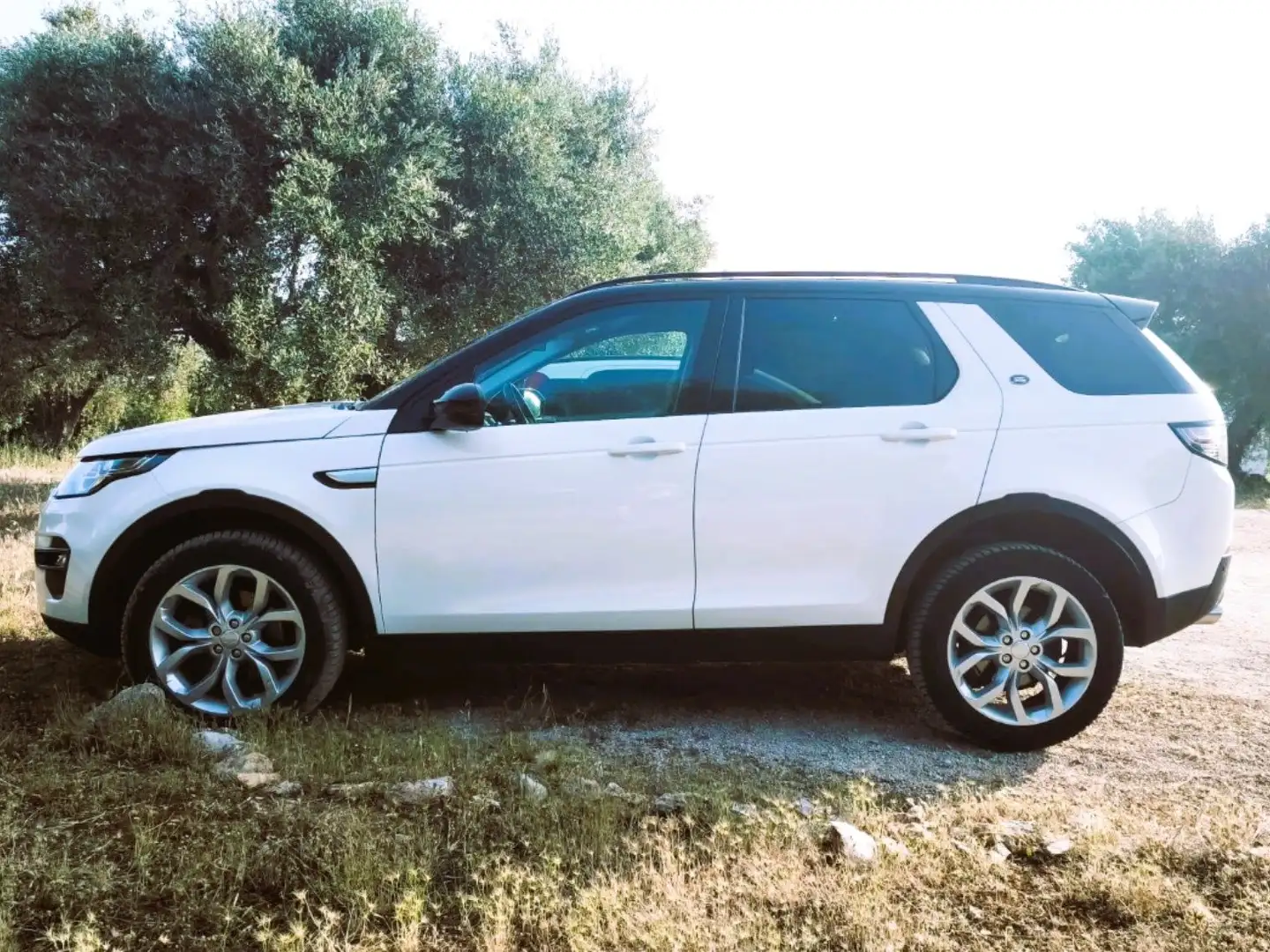 Land Rover Discovery Sport Discovery Sport 2.0 td4 HSE awd 150cv auto N1 Blanco - 1