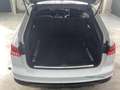 Audi A6 allroad 45 TDI Matrix HUD Pano B&O 360° Stdhz. Weiß - thumbnail 8