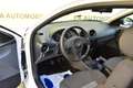 SEAT Ibiza Amaro/KLIMA/TÜV NEU/ Weiß - thumbnail 9