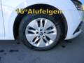 Skoda Octavia Kombi Ambition**DSG**RFK**LED**1.Bes. Weiß - thumbnail 20