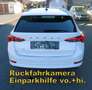 Skoda Octavia Kombi Ambition**DSG**RFK**LED**1.Bes. Weiß - thumbnail 7
