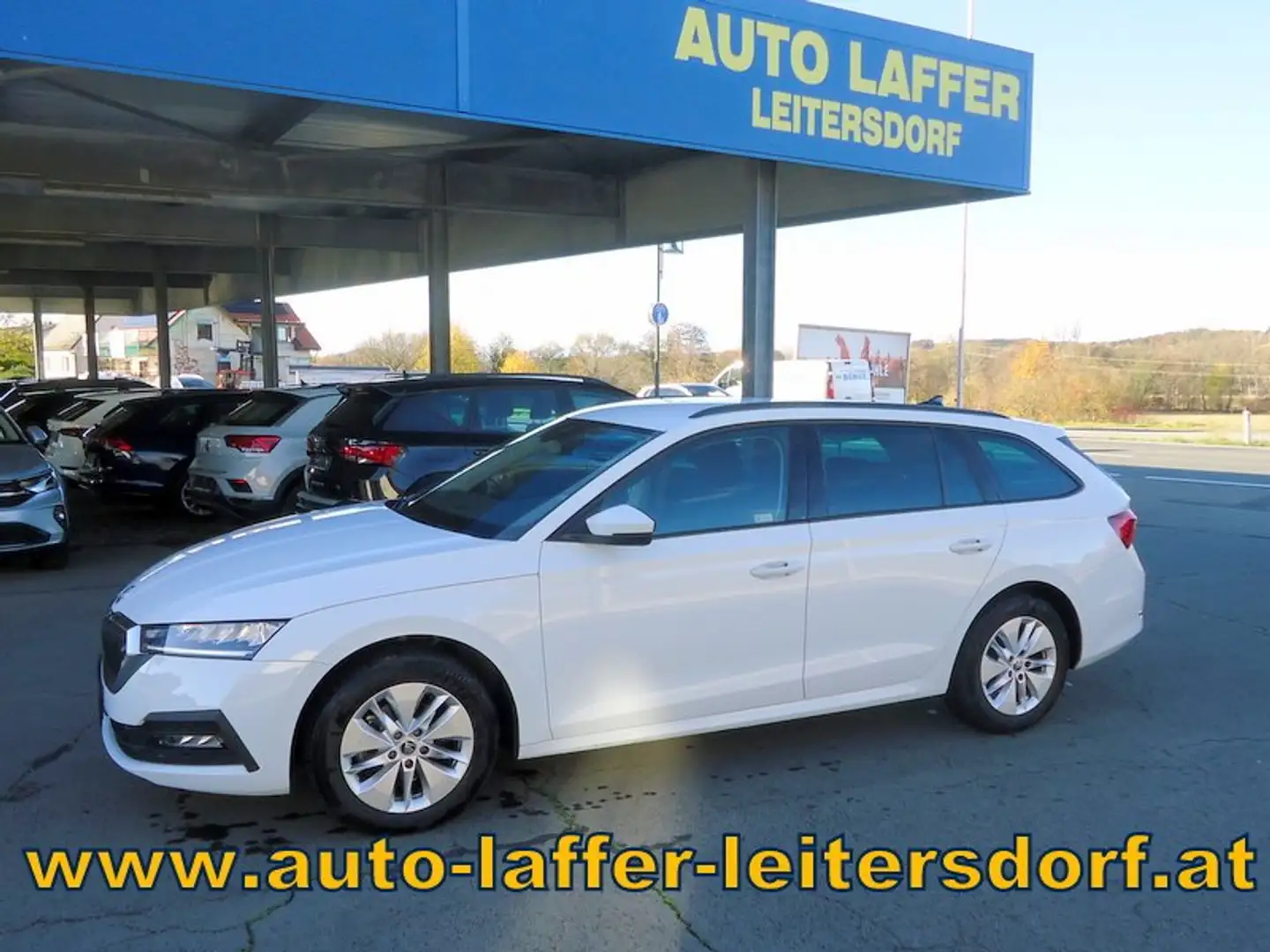 Skoda Octavia Kombi Ambition**DSG**RFK**LED**1.Bes. Weiß - 1