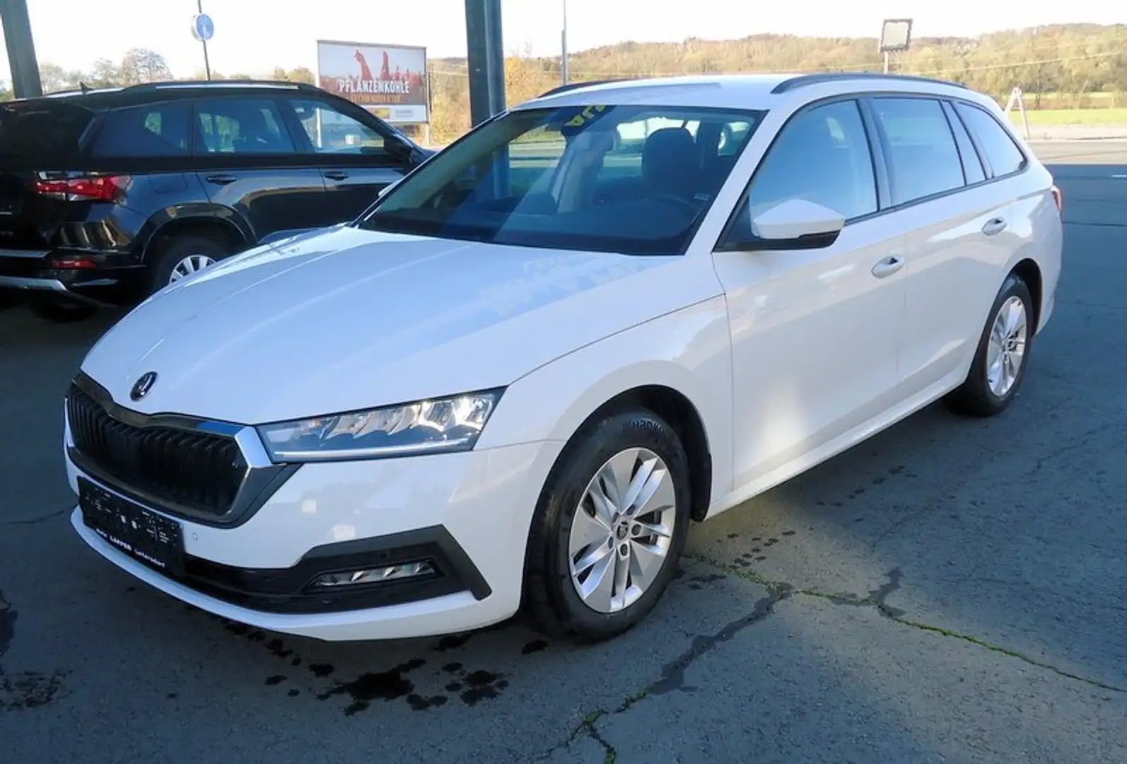 Skoda Octavia Kombi Ambition**DSG**RFK**LED**1.Bes. Weiß - 2