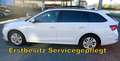 Skoda Octavia Kombi Ambition**DSG**RFK**LED**1.Bes. Weiß - thumbnail 9