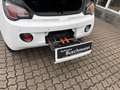 Opel Adam Jam +Fahrradträger+Sternenhimmel+ Bianco - thumbnail 9