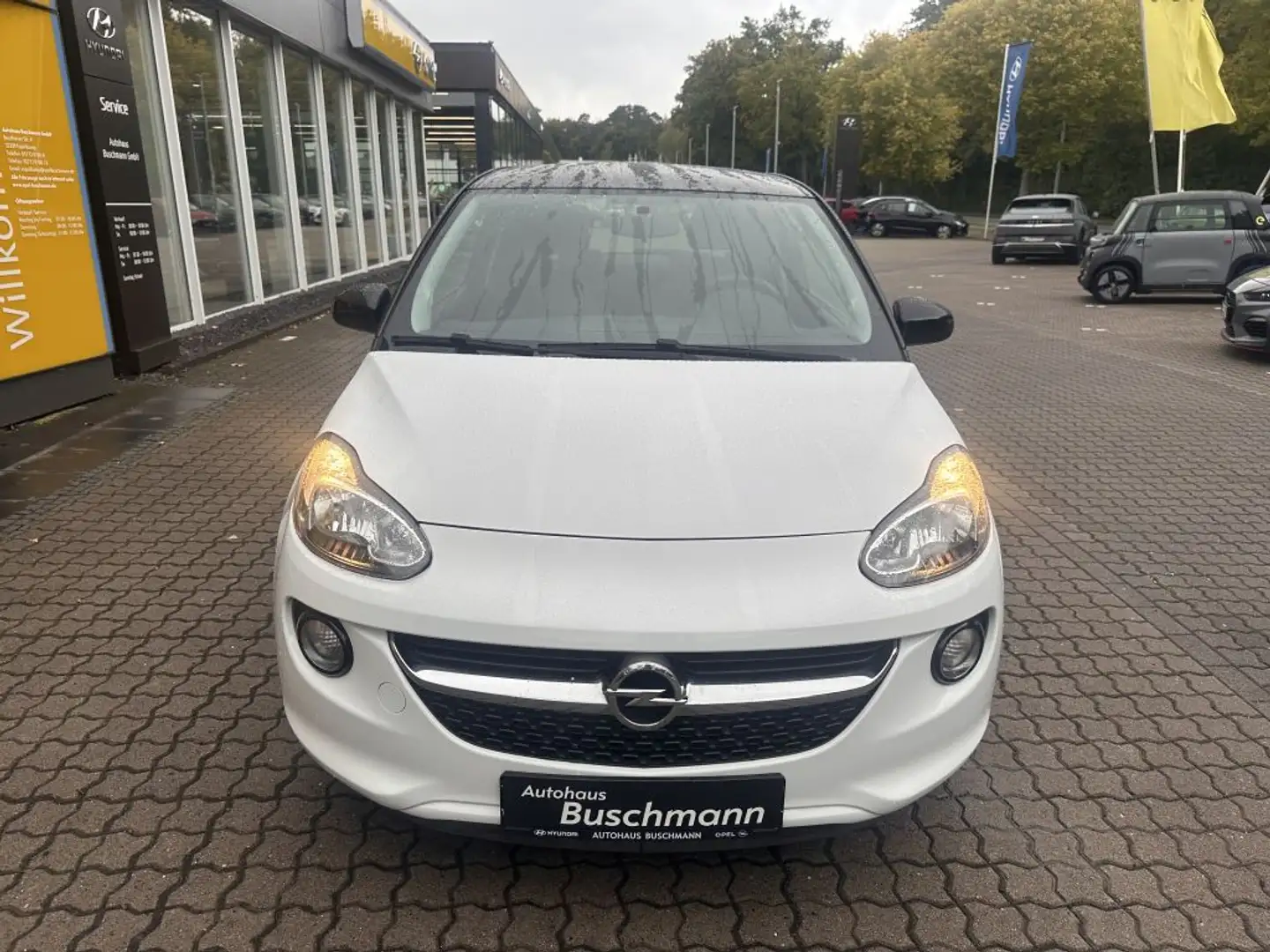 Opel Adam Jam +Fahrradträger+Sternenhimmel+ Bianco - 2
