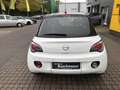 Opel Adam Jam +Fahrradträger+Sternenhimmel+ Wit - thumbnail 6
