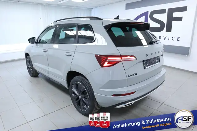 Skoda Karoq view 9