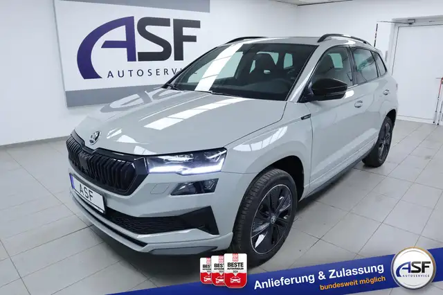 Skoda Karoq main image