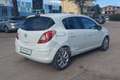 Opel Corsa Corsa 1.2 5 porte Edition Bianco - thumbnail 5