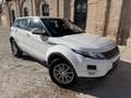 Land Rover Range Rover Evoque 2.2L eD4 Prestige 4x2 Weiß - thumbnail 2