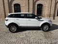 Land Rover Range Rover Evoque 2.2L eD4 Prestige 4x2 Weiß - thumbnail 6