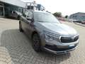 Skoda Kamiq Tour 1.0 TSI 116 PS DSG Grau - thumbnail 3