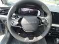Skoda Kamiq Tour 1.0 TSI 116 PS DSG Grau - thumbnail 9