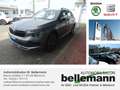 Skoda Kamiq Tour 1.0 TSI 116 PS DSG Grau - thumbnail 1