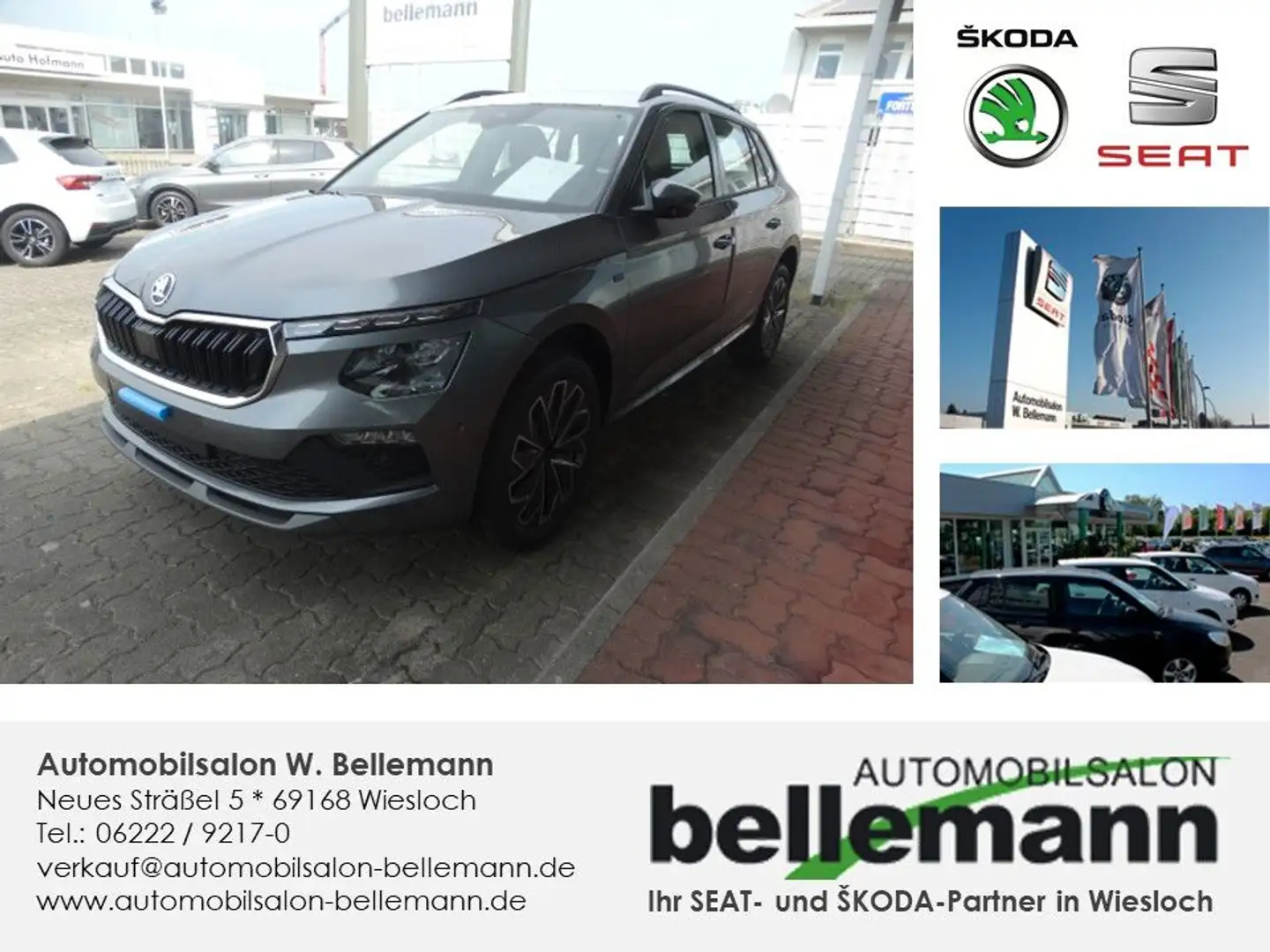 Skoda Kamiq Tour 1.0 TSI 116 PS DSG Grau - 1