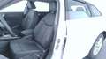 Audi A5 A5 Avant TFSI 110 kW S tronic S Line edition Bianco - thumbnail 11