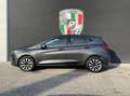 Ford Fiesta 1.1 Titanium 75cv Grau - thumbnail 12