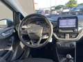 Ford Fiesta 1.1 Titanium 75cv Grau - thumbnail 14