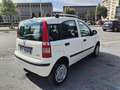 Fiat Panda Panda 1.4 Natural Power Classic Blanc - thumbnail 4