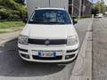 Fiat Panda Panda 1.4 Natural Power Classic Blanc - thumbnail 6