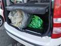 Fiat Panda Panda 1.4 Natural Power Classic Blanc - thumbnail 25