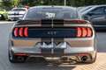 Ford Mustang Shelby V8 5.2 GT500 Gris - thumbnail 8
