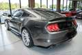 Ford Mustang Shelby V8 5.2 GT500 Gris - thumbnail 12