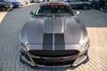 Ford Mustang Shelby V8 5.2 GT500 Gris - thumbnail 16