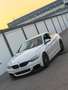 BMW 435 435d xDrive Coupe Österreich-Paket Aut. Weiß - thumbnail 3