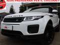 Land Rover Range Rover Evoque 5p 2.0 td4 SE Dynamic 150cv 4X4 SOLO 95000KM Bianco - thumbnail 1