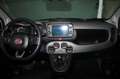 Fiat Panda hybrid Cross Blanc - thumbnail 10