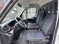 Iveco Daily 35S16 2.3 LAADKLEP / LUCHTVERING Wit - thumbnail 6