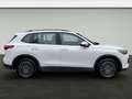 Volkswagen Tiguan 2.0 TDI DSG LIFE*LED*AHK*KAMERA*NAVI*KLIM Weiß - thumbnail 9