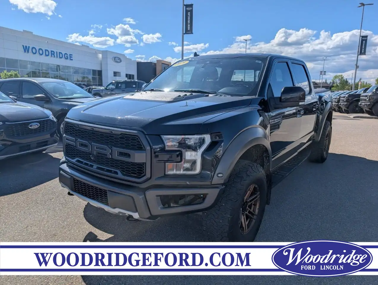 2019 Ford F 150