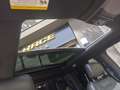 Ford F 150 Raptor Gris - thumbnail 16