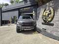 Ford F 150 Raptor Gris - thumbnail 2